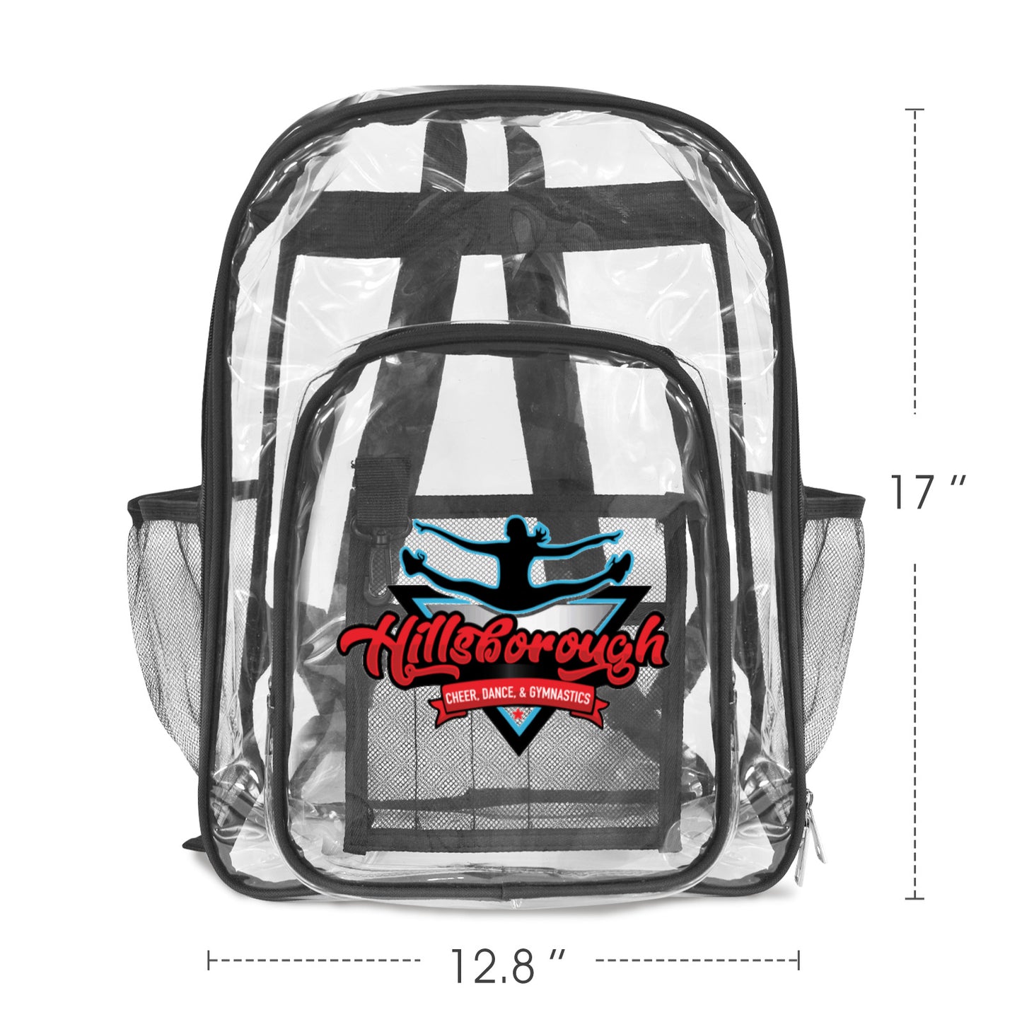 Transparent Backpack